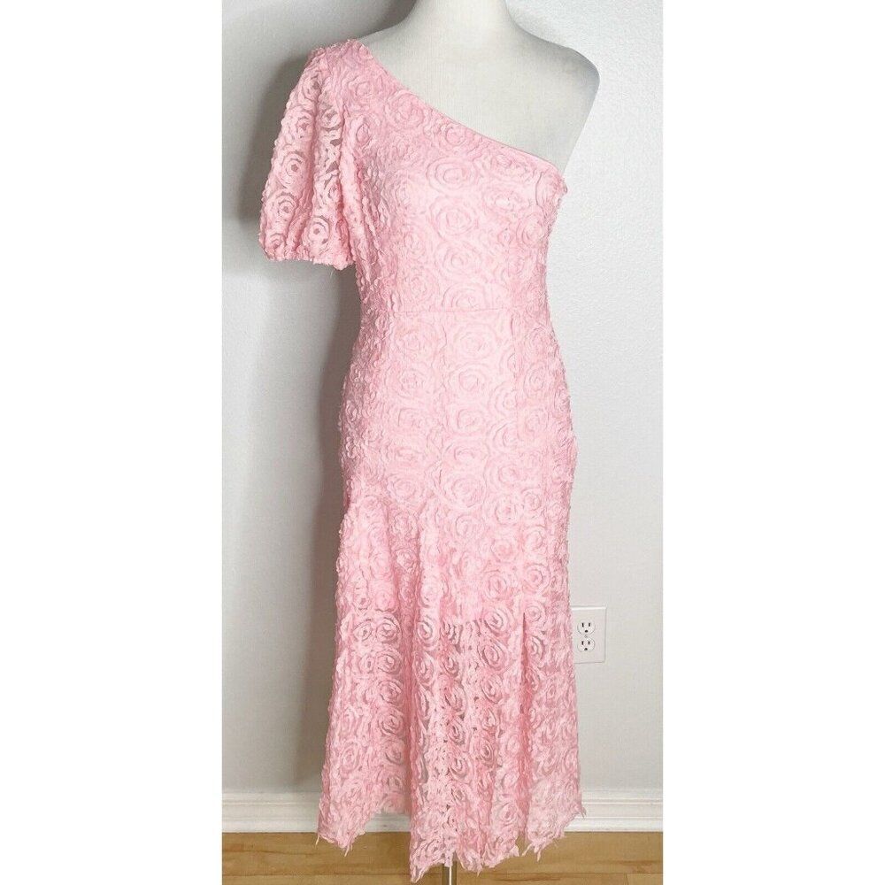 Hello Molly Pink IN FULL BLOOM MESH MIDI DRESS One Shoulder Floral Medium US 6 - Picture 3 of 4